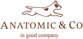 AnatomicShoes.com