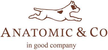 AnatomicShoes.com
